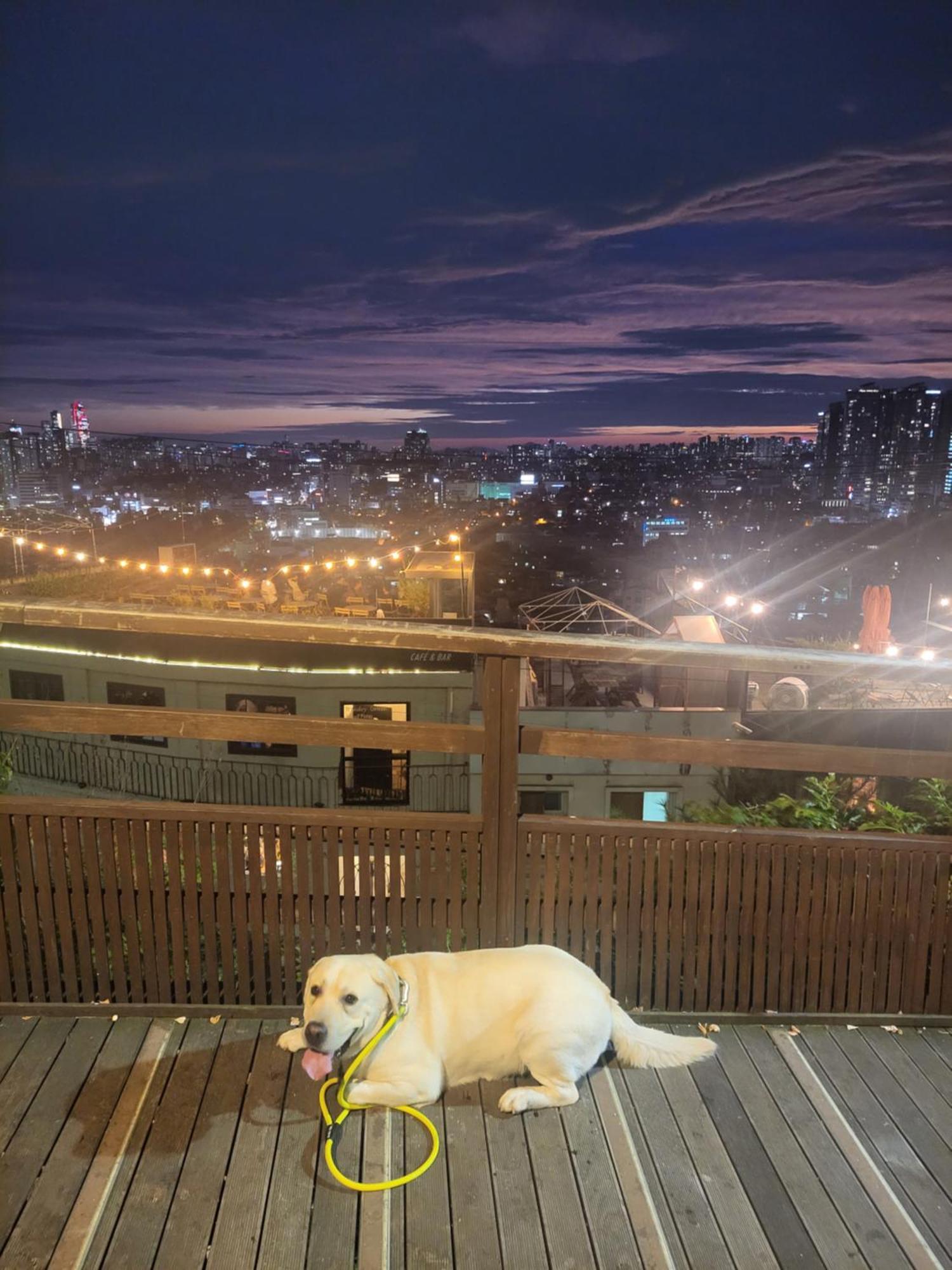 Brand New 2 Bedroom Apartment #6 서울특별시 외부 사진