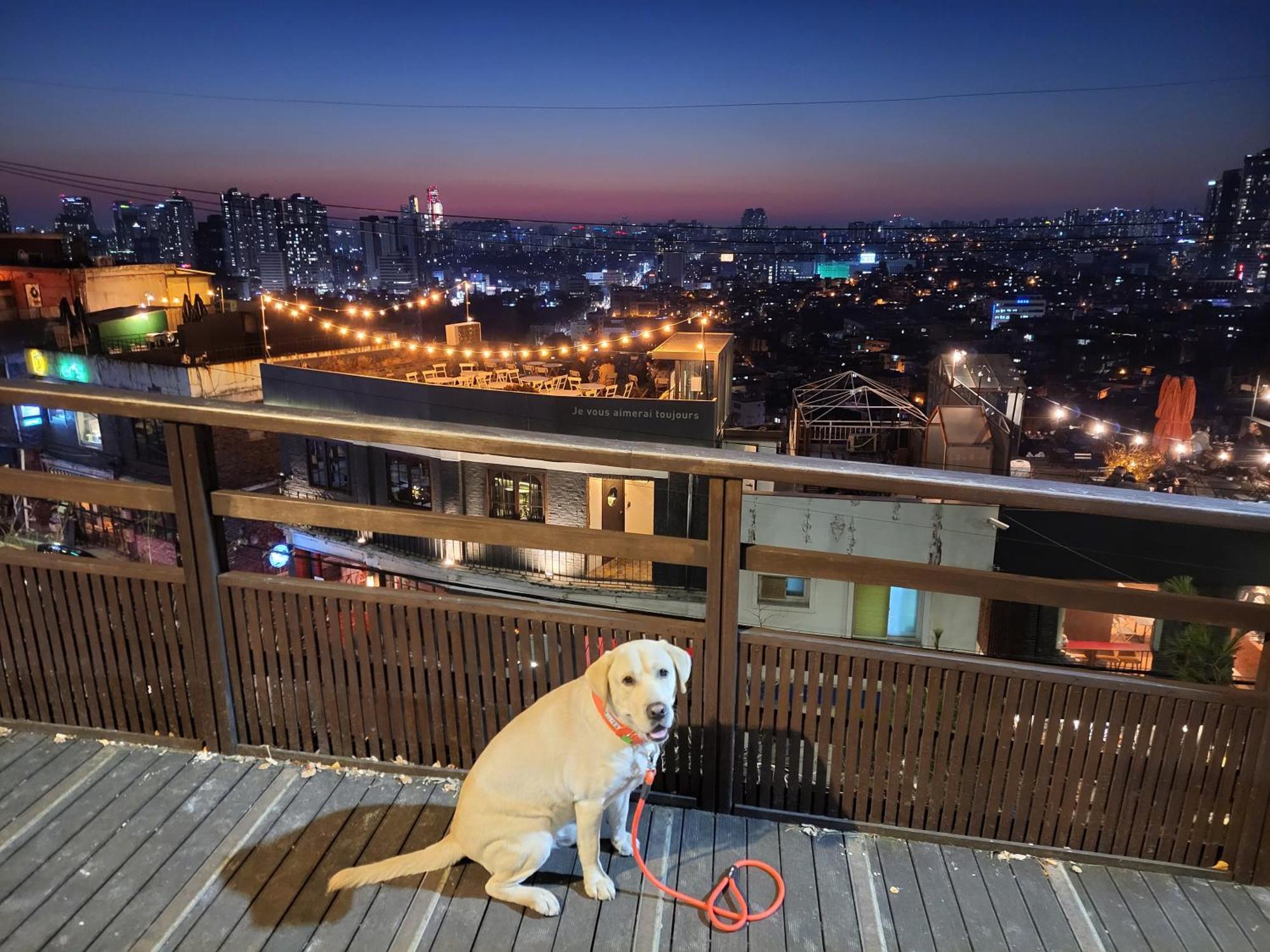 Brand New 2 Bedroom Apartment #6 서울특별시 외부 사진