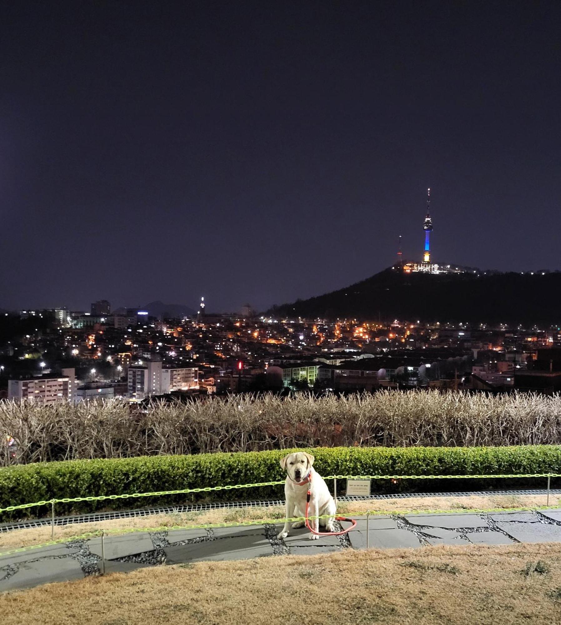 Brand New 2 Bedroom Apartment #6 서울특별시 외부 사진