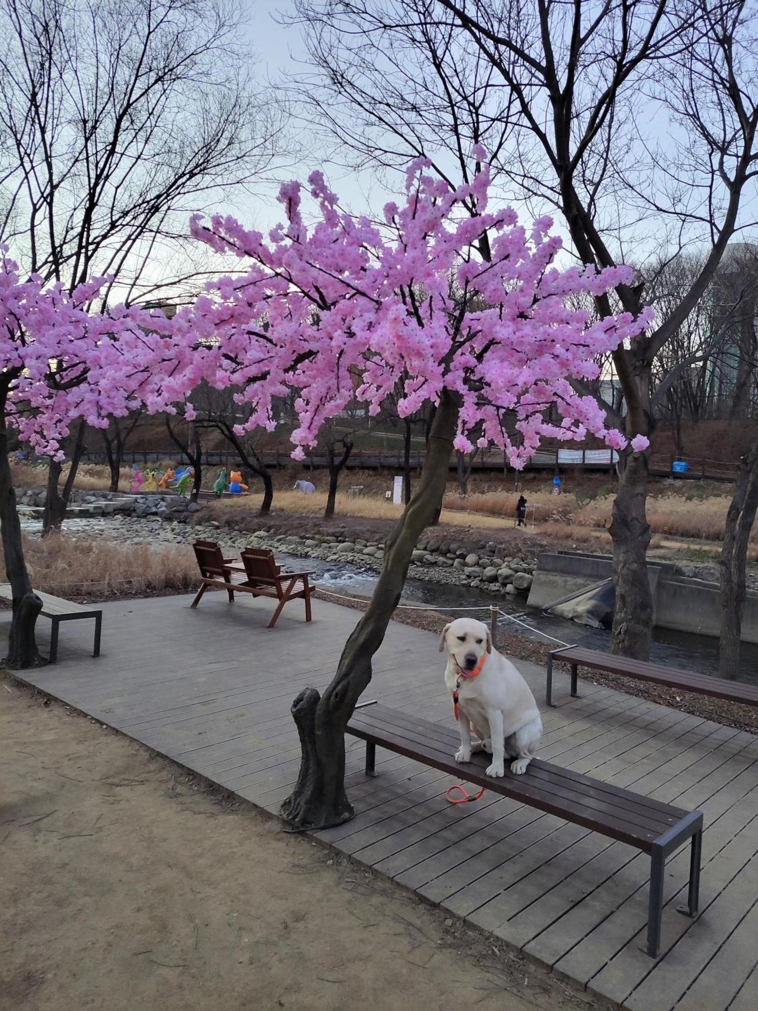 Brand New 2 Bedroom Apartment #6 서울특별시 외부 사진